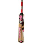 RS Robinson 20-20 English Willow Cricket Bat (SH)